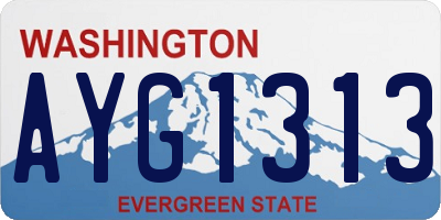 WA license plate AYG1313