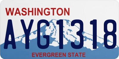 WA license plate AYG1318
