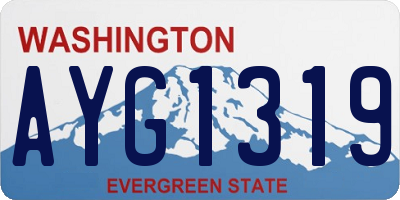 WA license plate AYG1319