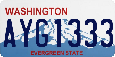 WA license plate AYG1333