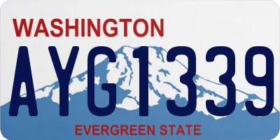 WA license plate AYG1339