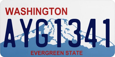 WA license plate AYG1341
