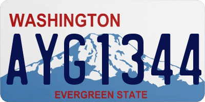 WA license plate AYG1344