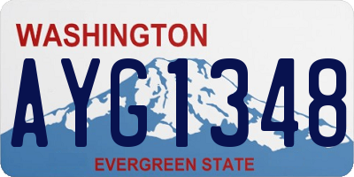 WA license plate AYG1348