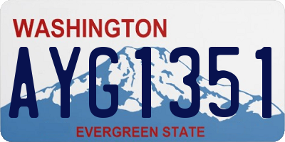 WA license plate AYG1351