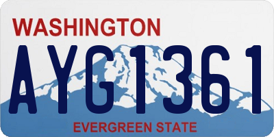 WA license plate AYG1361