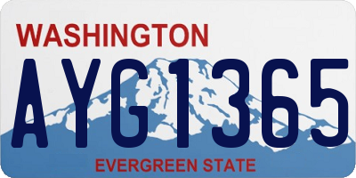 WA license plate AYG1365