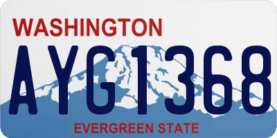 WA license plate AYG1368