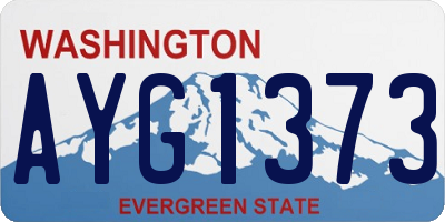 WA license plate AYG1373