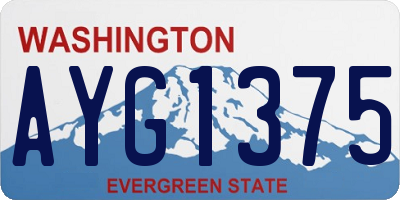 WA license plate AYG1375