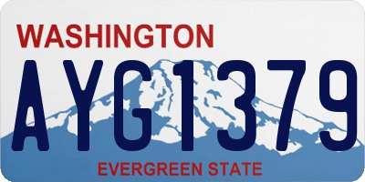 WA license plate AYG1379