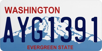 WA license plate AYG1391