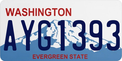 WA license plate AYG1393