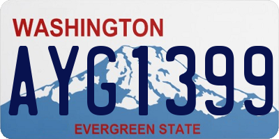 WA license plate AYG1399