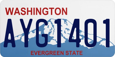 WA license plate AYG1401