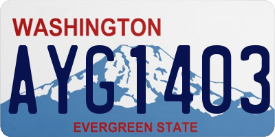 WA license plate AYG1403