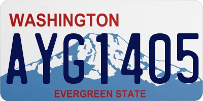 WA license plate AYG1405