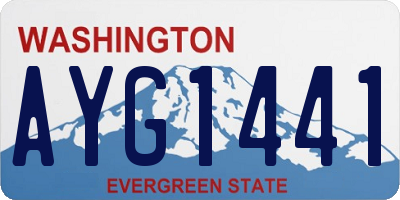 WA license plate AYG1441