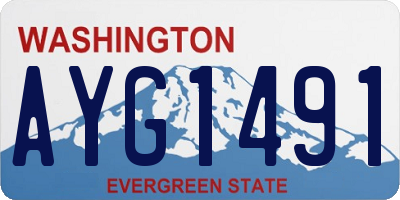WA license plate AYG1491