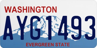 WA license plate AYG1493