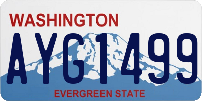 WA license plate AYG1499