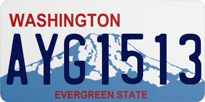 WA license plate AYG1513