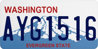 WA license plate AYG1516