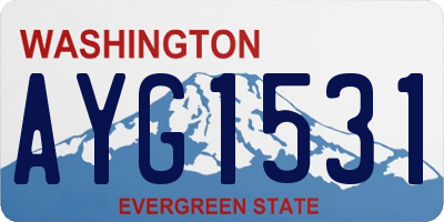 WA license plate AYG1531