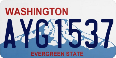 WA license plate AYG1537