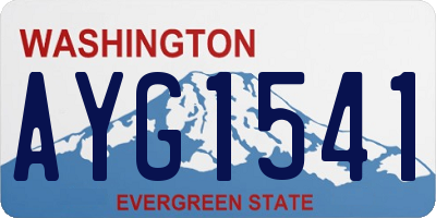 WA license plate AYG1541