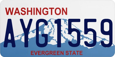 WA license plate AYG1559