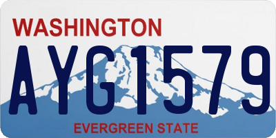 WA license plate AYG1579