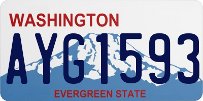 WA license plate AYG1593