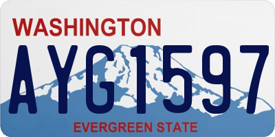 WA license plate AYG1597
