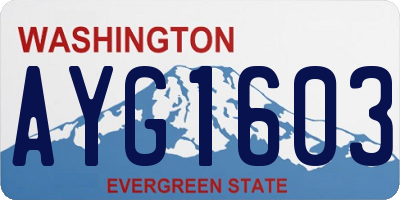 WA license plate AYG1603