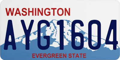WA license plate AYG1604
