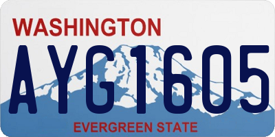 WA license plate AYG1605