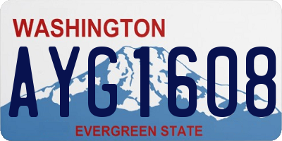 WA license plate AYG1608