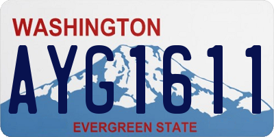 WA license plate AYG1611