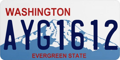 WA license plate AYG1612