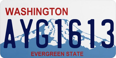 WA license plate AYG1613