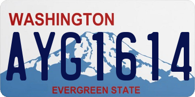 WA license plate AYG1614