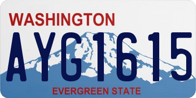 WA license plate AYG1615