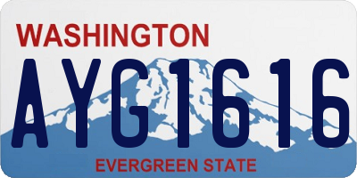 WA license plate AYG1616