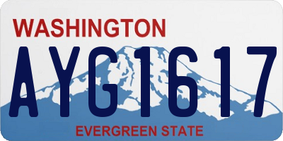 WA license plate AYG1617