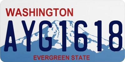 WA license plate AYG1618
