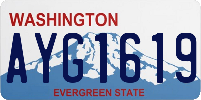 WA license plate AYG1619