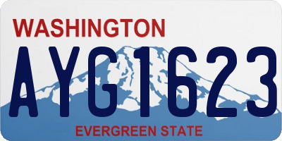 WA license plate AYG1623