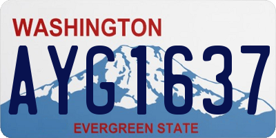 WA license plate AYG1637