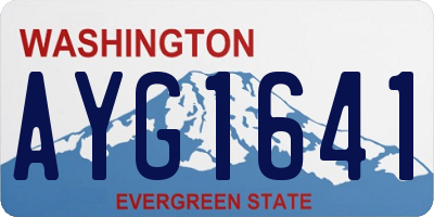 WA license plate AYG1641